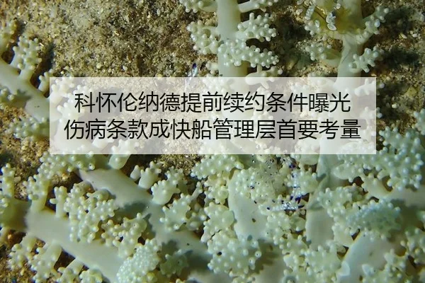 ke-huai-lun-na-de-ti-qian-xu-yue-tiao-jian-bao-guang-shang-bing-tiao-kuan-cheng-kuai-chuan-guan-li-ceng-shou-yao-kao-2-689.jpg