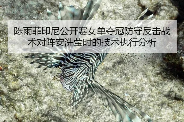 chen-yu-fei-yin-ni-gong-kai-sai-nv-dan-duo-guan-fang-shou-fan-ji-zhan-shu-dui-zhen-an-xi-ying-shi-de-ji-shu-zhi-xing-3-813.jpg